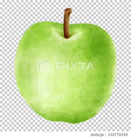 Green apple painted in watercolor Green apple painted in watercolor 118778184