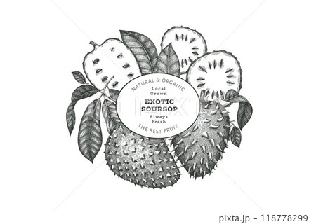 Hand drawn sketch style soursop fruit banner. Organic fresh fruit vector illustration. Retro guanabana design template Hand drawn sketch style soursop fruit banner. Organic fresh fruit vector illustration. Retro guanabana design template 118778299