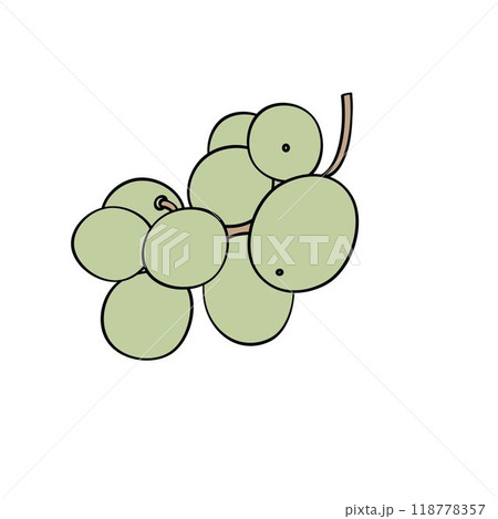 a small bunch of green grapes 118778357