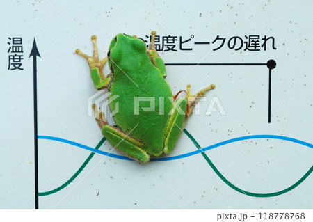 環境問題を訴えるアマガエル 環境問題を訴えるアマガエル 118778768