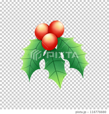 Christmas Holly Berry illustration watercolor by hand drawn. Christmas Holly Berry illustration watercolor by hand drawn. 118778880