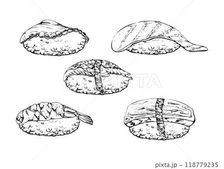 Traditional Japanese food, nigiri sushi with raw fish tuna salmon unagi shrimp, tamagoyaki tako octopus, hand drawn in vector pen, ink. Set of elements for restaurant, cafe menu, kitchen, recipe book 118779235