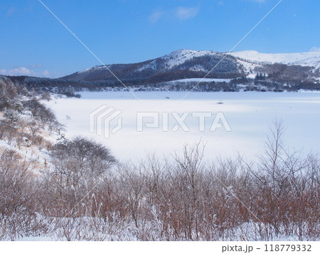 冬の霧ヶ峰・八島湿原 冬の霧ヶ峰・八島湿原 118779332