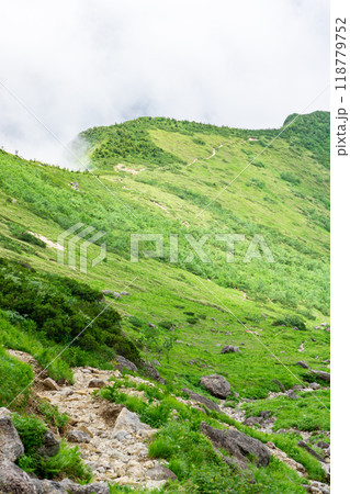 岐阜県の日本百名山　笠ヶ岳登山　杓子平（笠新道分岐からの眺め） 118779752