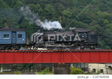 バック運転で大井川第一橋梁を渡るC11-227号機牽引の「SLかわね路号」_2009/8/21 118780006