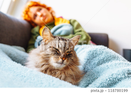 portrait gray fluffy cat lying with young woman on sofa 118780199
