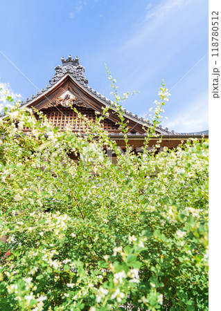 圓光禅寺、満開の萩〈愛知県稲沢市〉 118780512