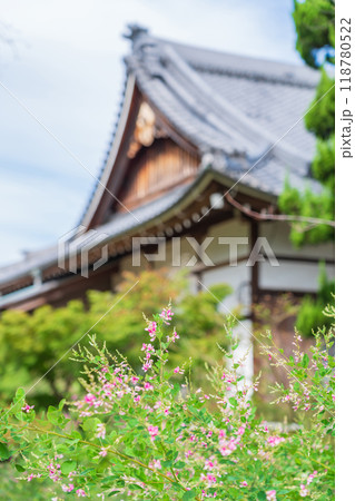 圓光禅寺、満開の萩〈愛知県稲沢市〉 圓光禅寺、満開の萩〈愛知県稲沢市〉 118780522