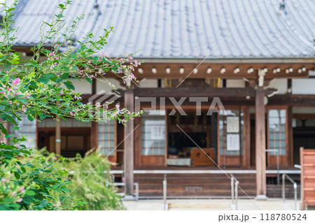 圓光禅寺、満開の萩〈愛知県稲沢市〉 118780524