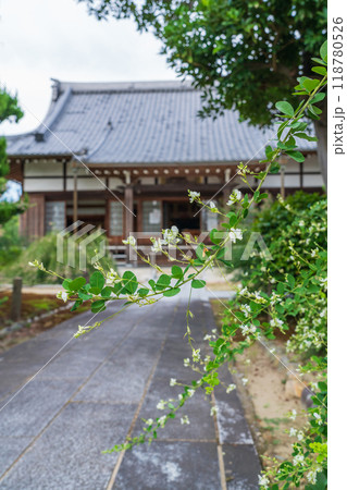 圓光禅寺、満開の萩〈愛知県稲沢市〉 118780526