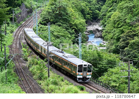名勝諏訪峡を通過する 上越線 電車 名勝諏訪峡を通過する 上越線 電車 118780647