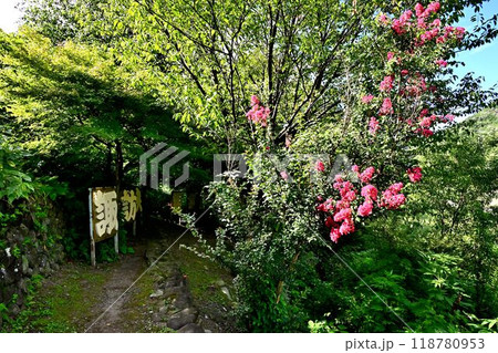 諏訪峡　奇岩と怪石の連続。息をのむ美しさ 118780953