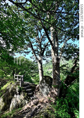 諏訪峡　奇岩と怪石の連続。息をのむ美しさ 118780955