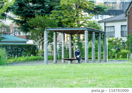 公園のベンチで新聞を読んでいる中高年または高齢者 118781000