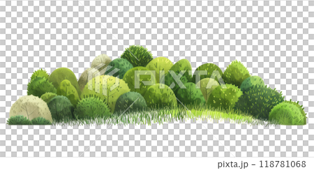 green bushes, capturing their unique shapes and textures on a white background. 118781068