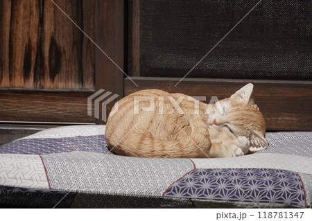 古民家の縁側 座布団の上で丸くなって眠る猫 118781347