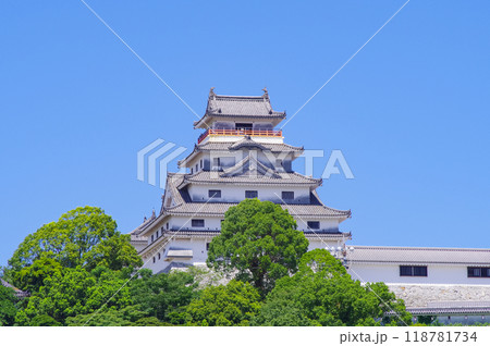 佐賀県の唐津城 118781734