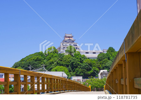 佐賀県の唐津城 佐賀県の唐津城 118781735