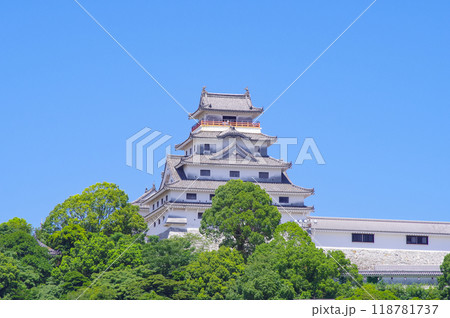 佐賀県の唐津城 佐賀県の唐津城 118781737