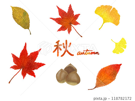 秋のきれいな落ち葉と栗の水彩イラストセット 118782172