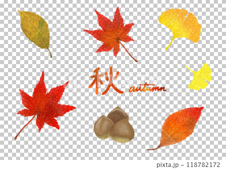 秋のきれいな落ち葉と栗の水彩イラストセット 118782172