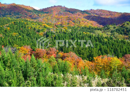 天下の絶景　鳴子の紅葉　吹上高原 118782451