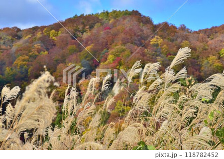 天下の絶景　鳴子の紅葉　吹上高原 118782452