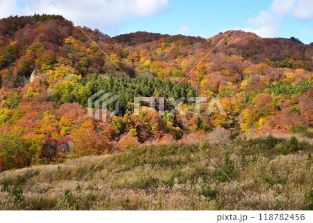 天下の絶景 鳴子の紅葉 吹上高原 天下の絶景 鳴子の紅葉 吹上高原 118782456