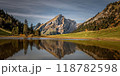beautiful lake and mountain Grappelensee, Switzerland 118782598