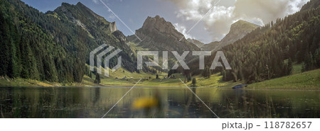 beautiful mountain and lake Switzerland 118782657