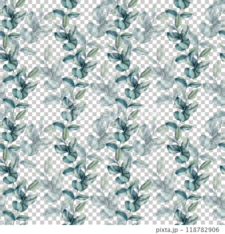 Eucalyptus branches with leaves seamless pattern. Hand drawn floral background, romantic botanical elements for wedding textile, fabric design. Women day card and poster decor 118782906