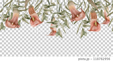 Red flowers calla lily with green eucalyptus branches floral watercolor banner. Hand drawn flowers composition for textile, packing, cosmetics design. Stationery, wedding card, save date 118782956