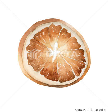 Dried orange, dry slice of citrus fruit. Tradition Christmas Winter Decor item. Watercolor hand drawn isolated vintage floral illustration for Christmas winter design, cards, holiday prints, wrapping Dried orange, dry slice of citrus fruit. Tradition Christmas Winter Decor item. Watercolor hand drawn isolated vintage floral illustration for Christmas winter design, cards, holiday prints, wrapping 118783013