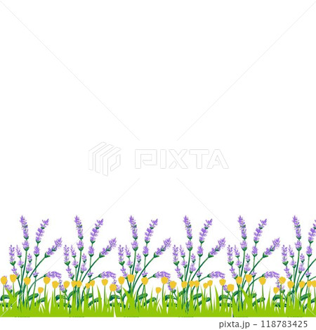 frame of flowers seamless pattern with birds and flowers 118783425