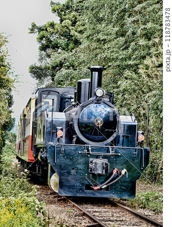 小湊鉄道の里山トロッコ 118783478