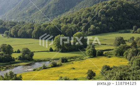 the field of rice fields and mountain 118784125