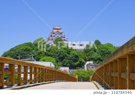 佐賀県の唐津城 佐賀県の唐津城 118784340