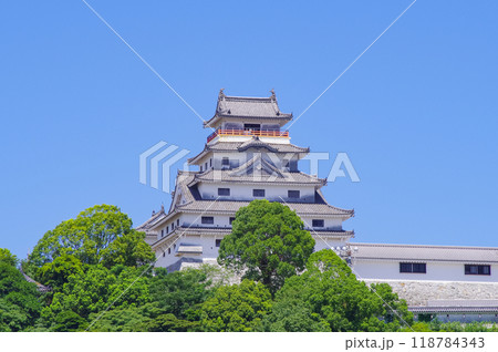 佐賀県の唐津城 佐賀県の唐津城 118784343
