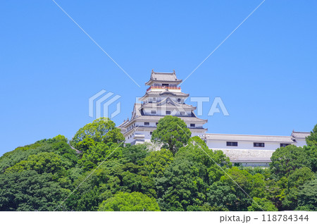 佐賀県の唐津城 118784344