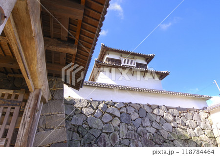 福岡城の下之橋御門と潮見櫓 福岡城の下之橋御門と潮見櫓 118784464