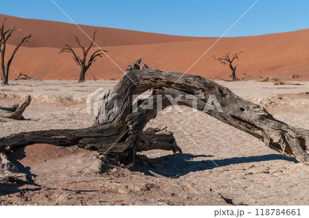 Barren landscape near Deadvlei and sossusvlei Barren landscape near Deadvlei and sossusvlei 118784661
