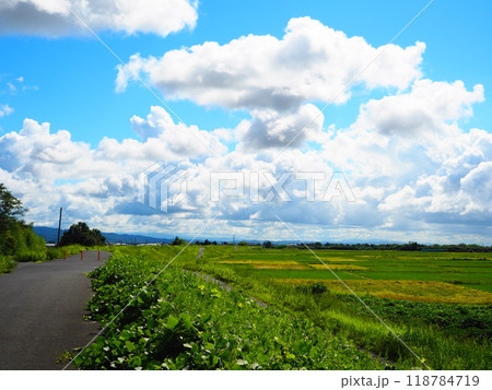 田舎の風景 118784719