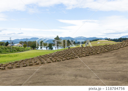 天然の芝張り工事 天然の芝張り工事 118784756