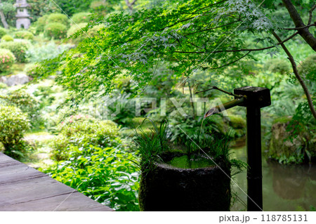 京都市左京区大原来迎院町 三千院(声明発祥の地) 聚碧園(手水鉢) 京都市左京区大原来迎院町 三千院(声明発祥の地) 聚碧園(手水鉢) 118785131