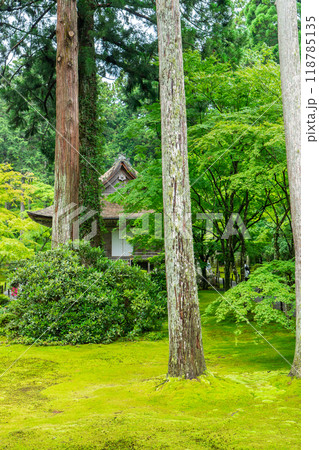 京都市左京区大原来迎院町 三千院(声明発祥の地) 有清園と往生極楽院 京都市左京区大原来迎院町 三千院(声明発祥の地) 有清園と往生極楽院 118785135