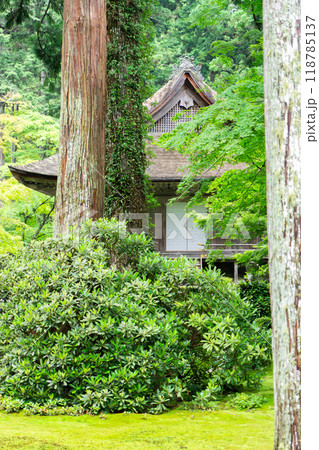 京都市左京区大原来迎院町 三千院(声明発祥の地) 有清園と往生極楽院 京都市左京区大原来迎院町 三千院(声明発祥の地) 有清園と往生極楽院 118785137