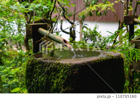 京都市左京区大原来迎院町 三千院(声明発祥の地) 客殿(つくばい) 京都市左京区大原来迎院町 三千院(声明発祥の地) 客殿(つくばい) 118785160