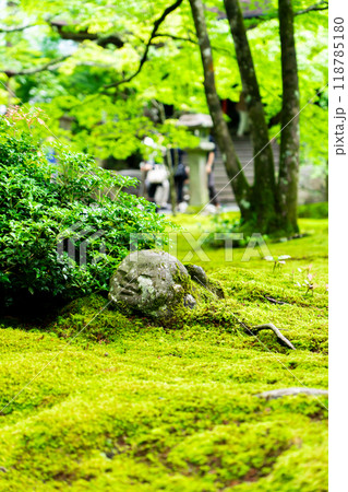京都市左京区大原来迎院町 三千院(声明発祥の地) 有清園の苔と戯れるわらべ地蔵 京都市左京区大原来迎院町 三千院(声明発祥の地) 有清園の苔と戯れるわらべ地蔵 118785180