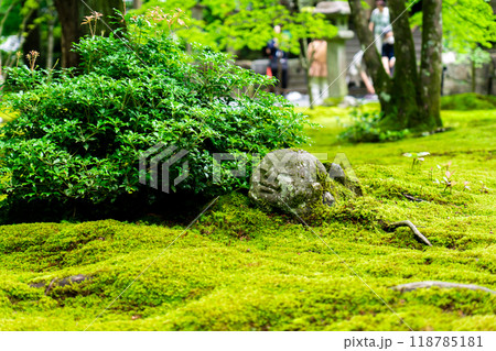 京都市左京区大原来迎院町 三千院(声明発祥の地) 有清園の苔と戯れるわらべ地蔵 京都市左京区大原来迎院町 三千院(声明発祥の地) 有清園の苔と戯れるわらべ地蔵 118785181