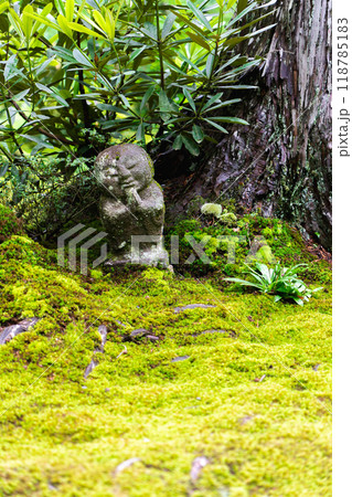 京都市左京区大原来迎院町　三千院（声明発祥の地）　有清園の苔と戯れるわらべ地蔵 118785183